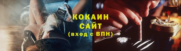 шишки Волоколамск