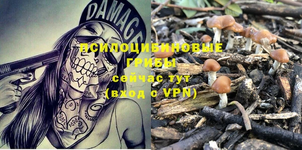spice Володарск