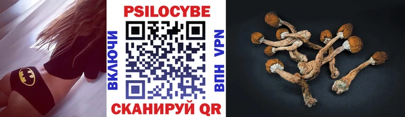 Галлюциногенные грибы Psilocybine cubensis  Купить где  Покров 