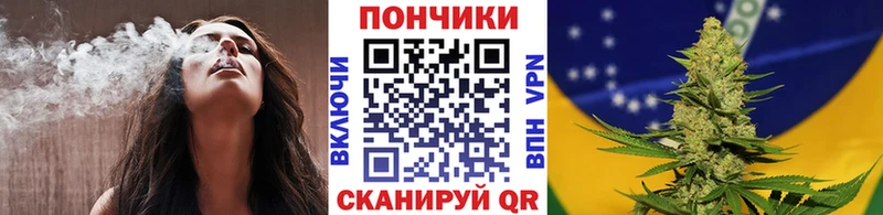 Купить где  Покров  Бошки марихуана планчик 